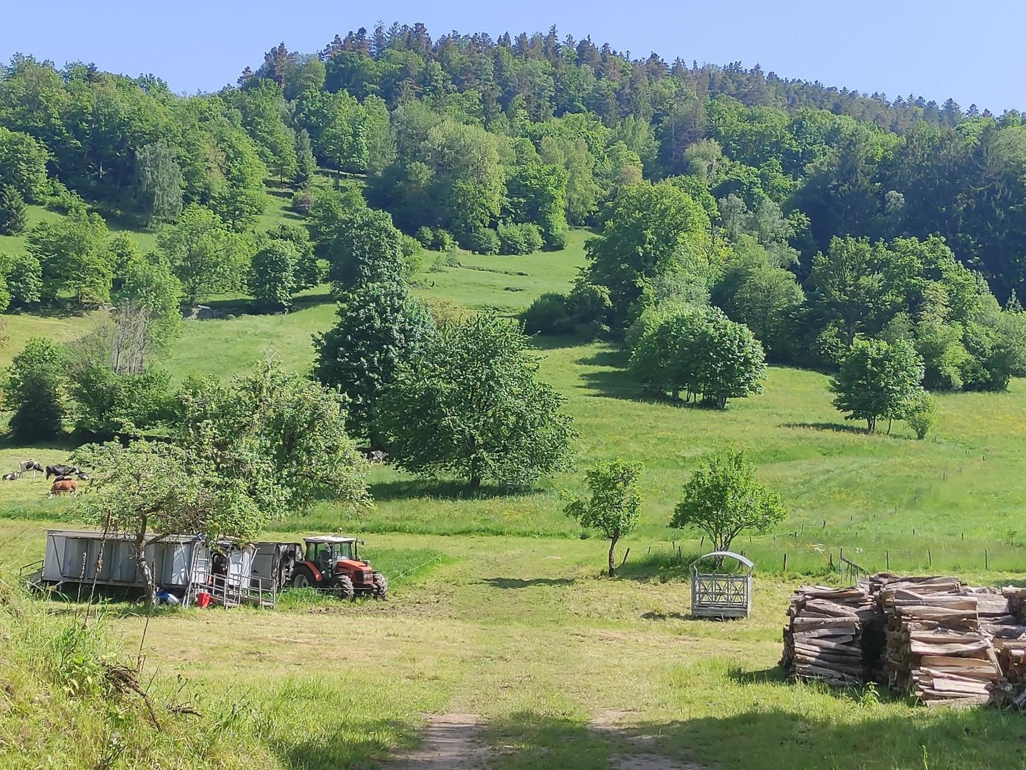 Les Studios Du Frankenthal Stosswihr Exteriér fotografie